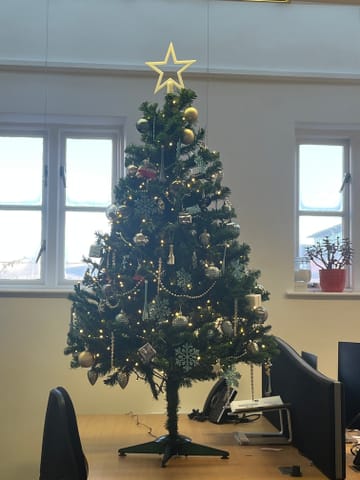 Customer review image