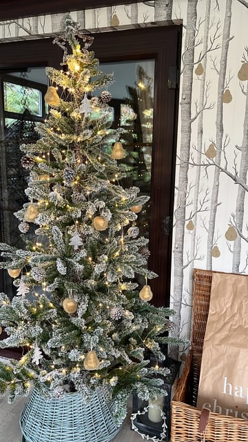 Customer review image