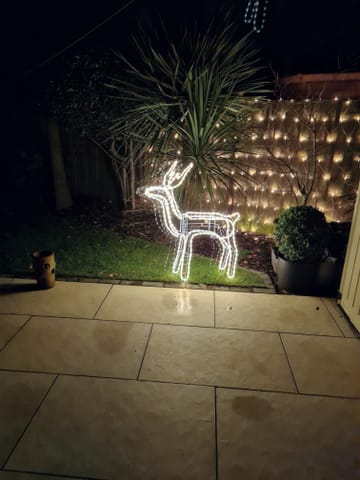 Customer review image