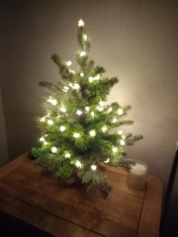 Customer review image