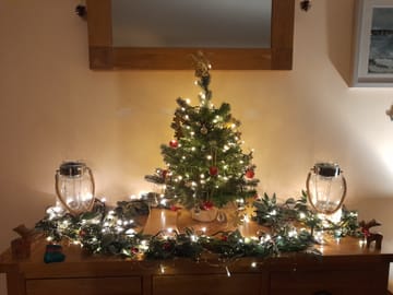 Customer review image