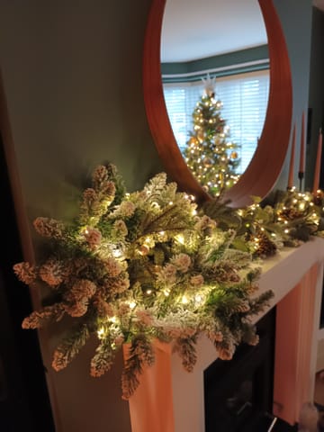 Customer review image