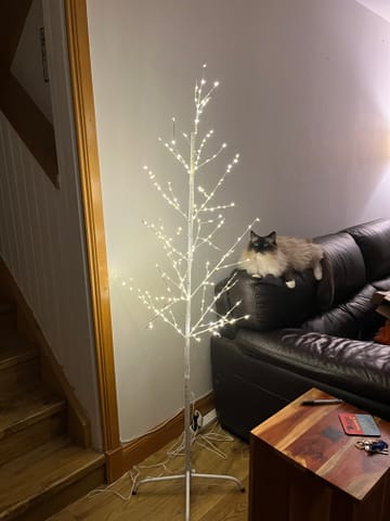 Customer review image