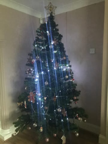 Customer review image