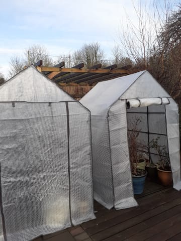 Customer review image