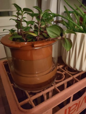 Photo de camille cheval