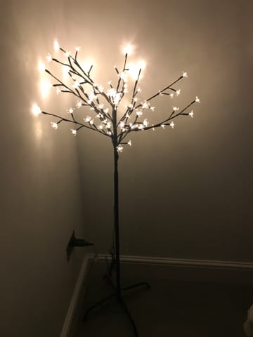 Customer review image