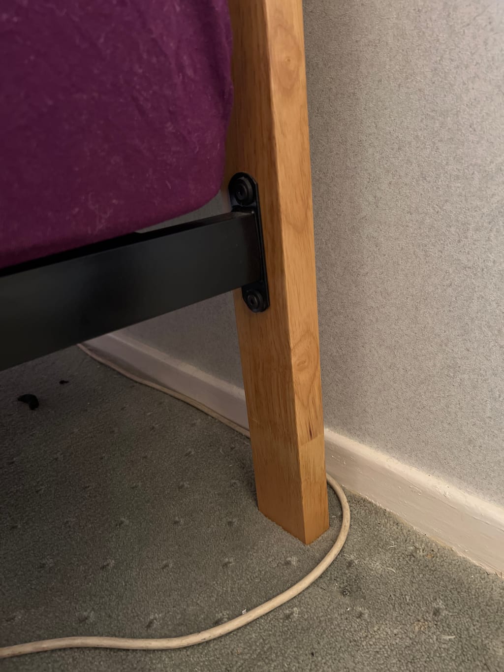 Customer review image