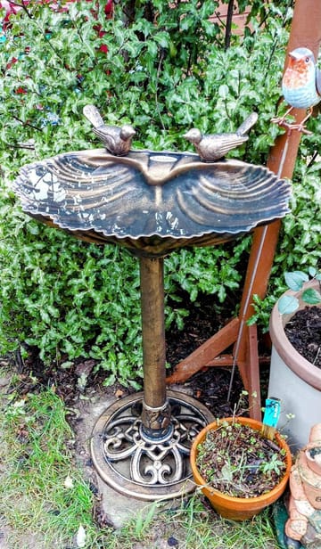 Customer review image