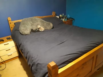 Customer Attachment