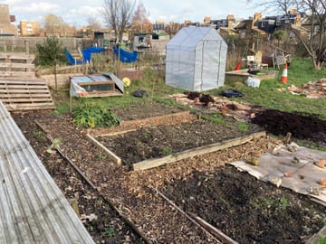 Customer review image