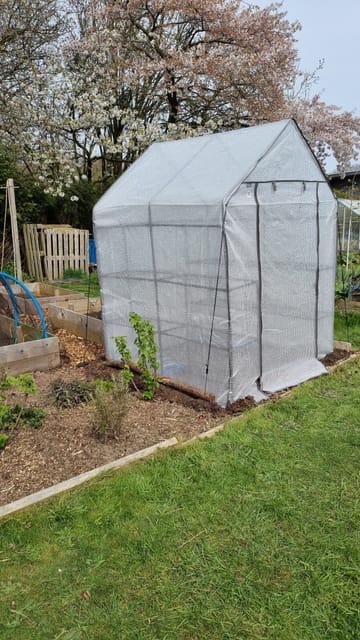 Customer review image