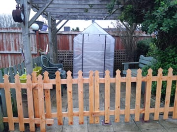 Customer review image