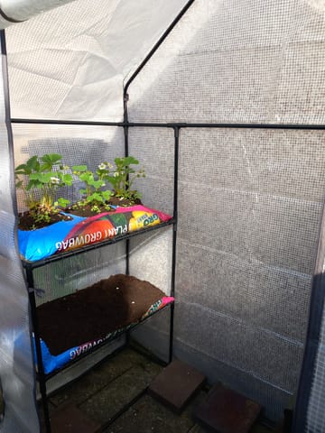 Customer review image