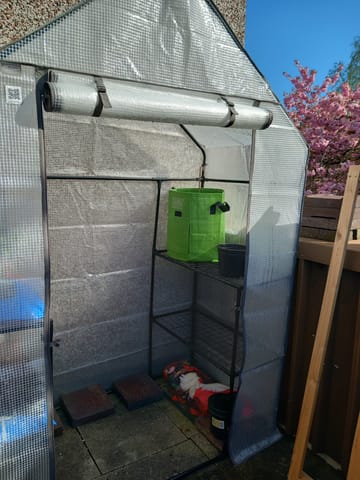 Customer review image