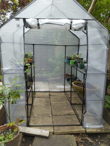 Customer review image