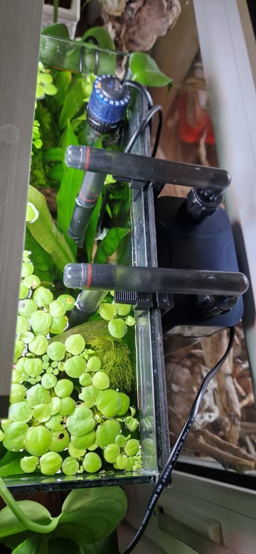 Amtra FILPRO Ex 500 Außenfilter Für Aquarien Bis 60 Liter – Mit Filtermaterial & Praktischer Beckenrand-Befestigung