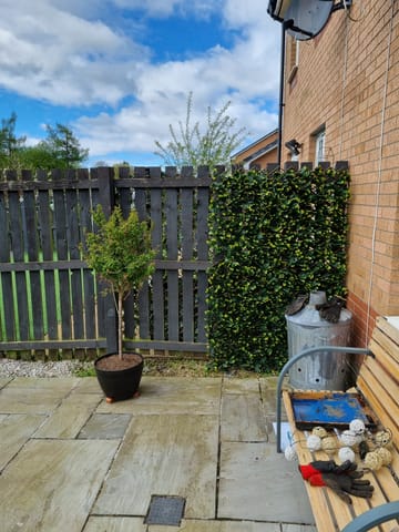 Customer review image