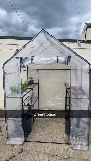 Customer review image