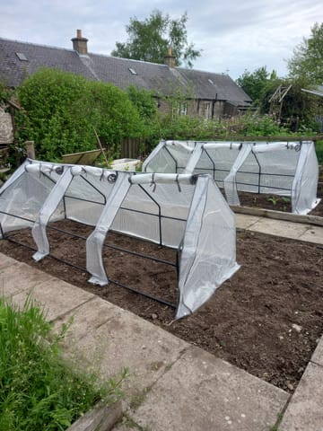 Customer review image