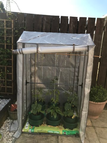 Customer review image