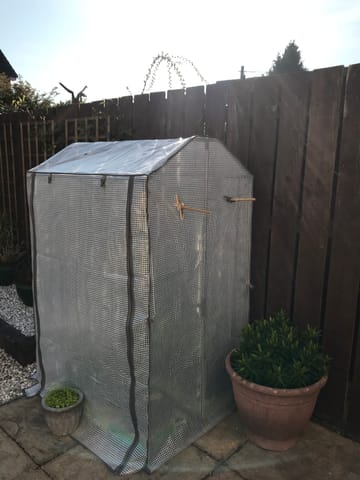 Customer review image