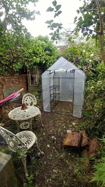 Customer review image