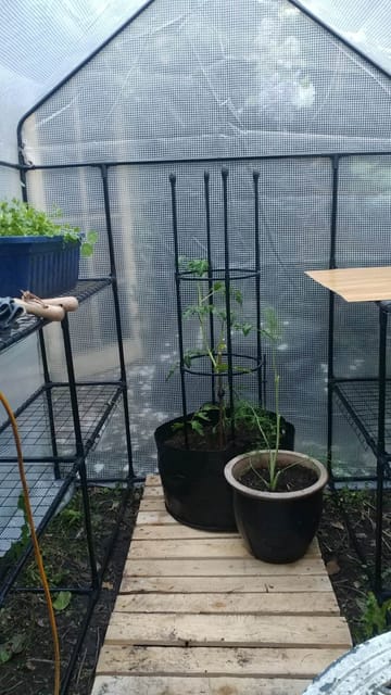 Customer review image