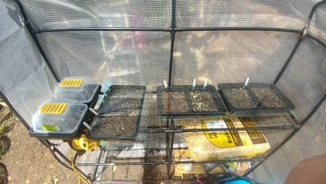 Customer review image