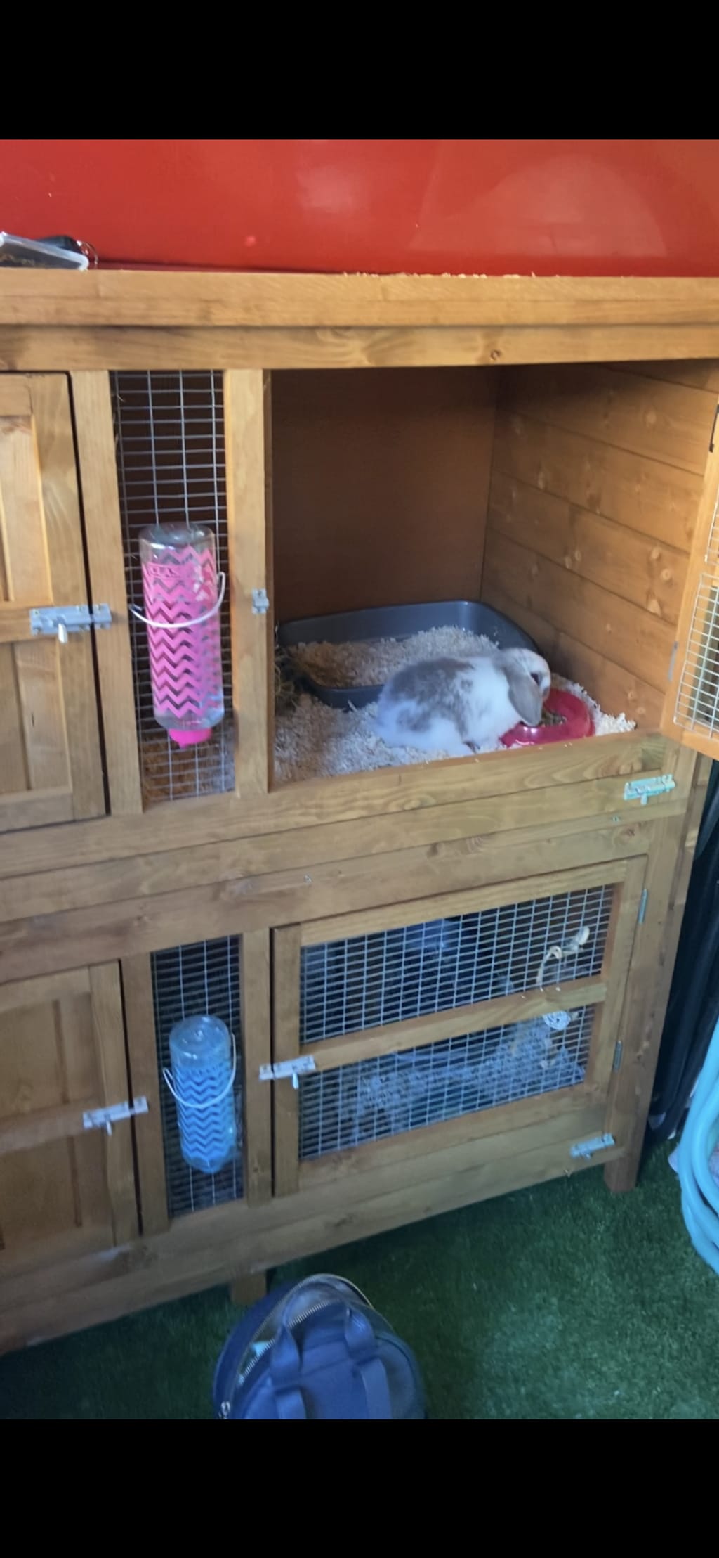 4ft Chartwell Free Guinea Pig Hutch 4ft Chartwell Double 2025 Luxury