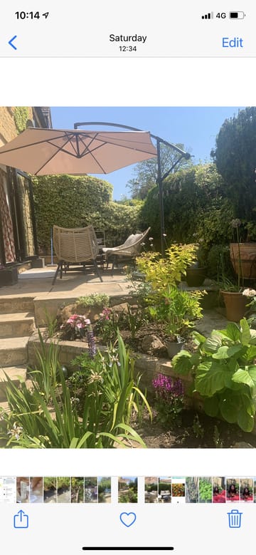 Customer review image