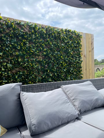 Customer review image