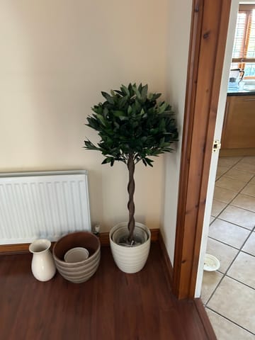 Customer review image