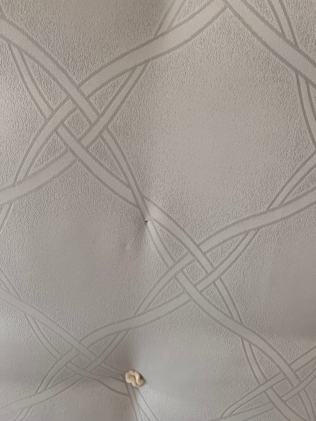 Customer review image