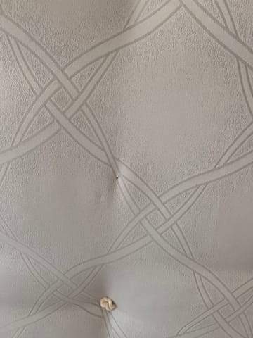 A customer photo for Sealy Ortho Plus Bronze Mattress - Mattress delivered to my home was broken, but nobody take the lability for repla. Author: Ming Chu Leung. Dated: 2023-07-02