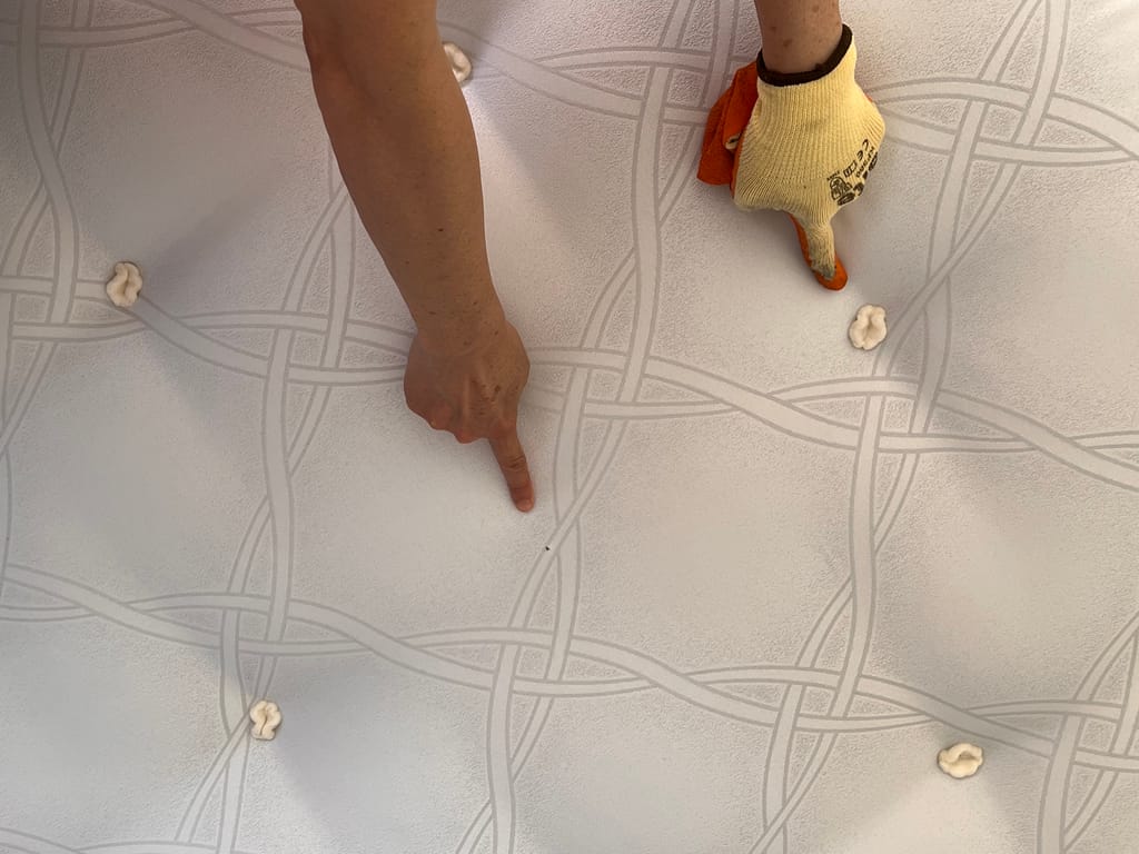 Customer review image