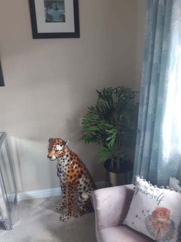 Customer review image