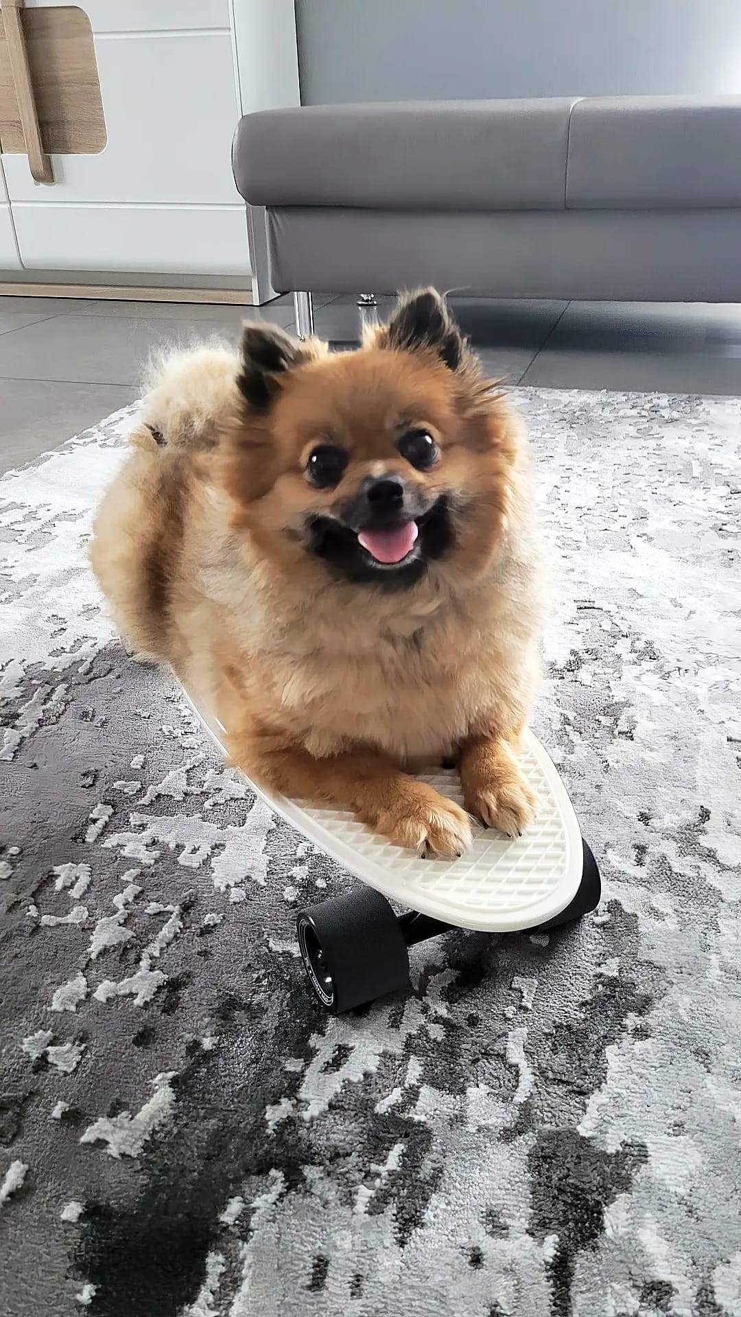 NKX Deluxe Skateboard 27