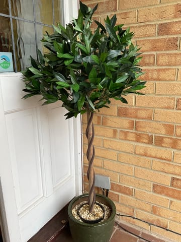 Customer review image