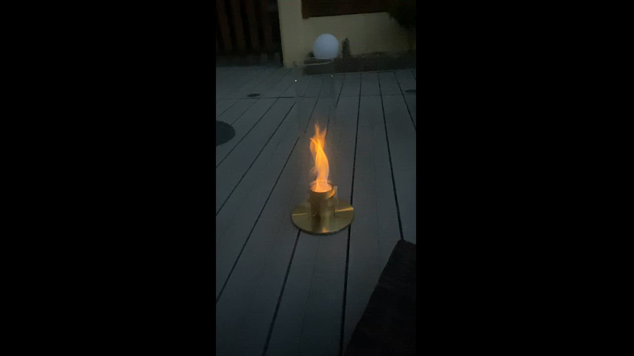 Photo de chevrau sophie