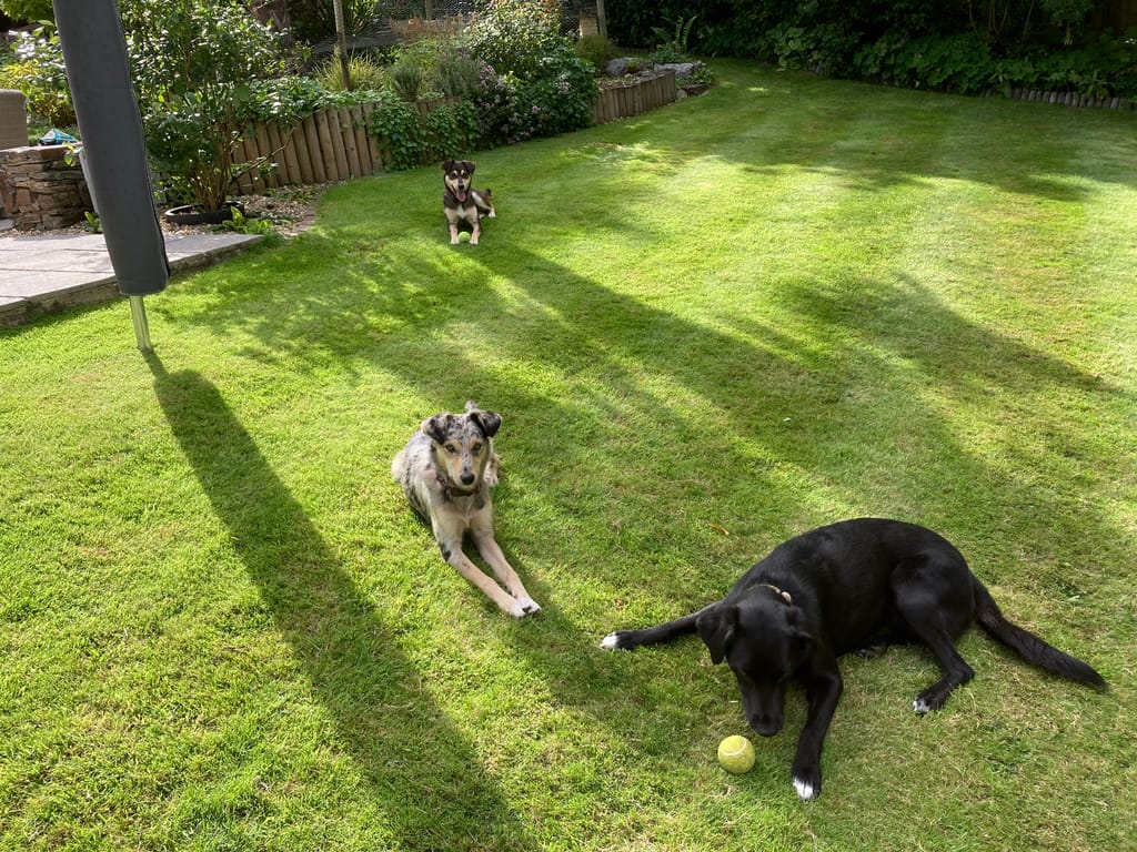 Photo from Mrs Clare Hilder's review