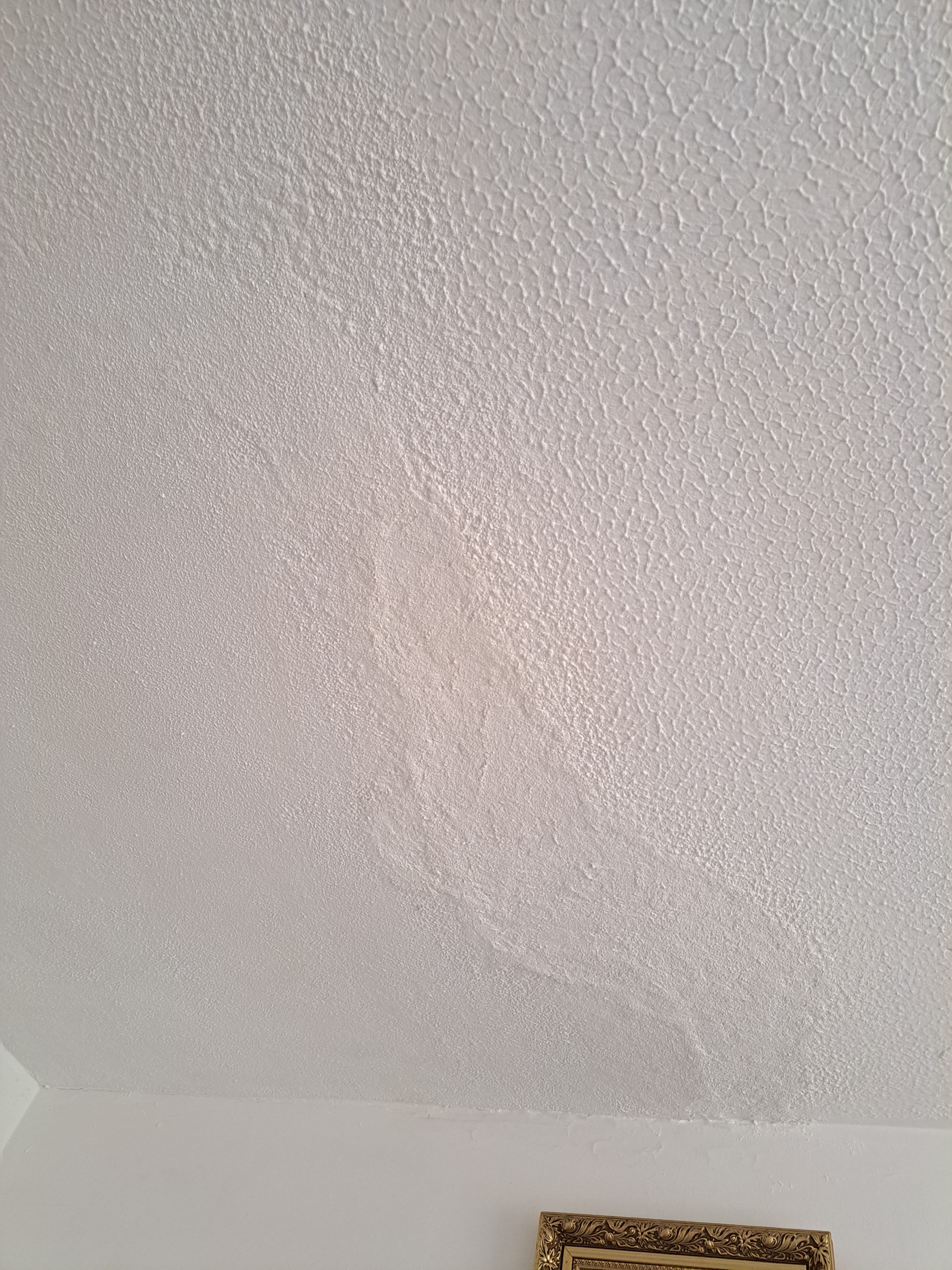 How To Apply Polycell Textured Ceiling Paint Shelly Lighting