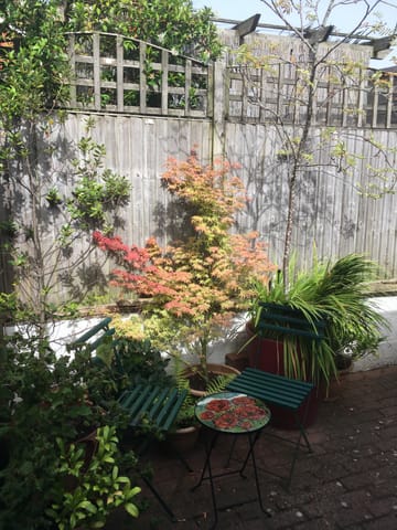 Customer review image