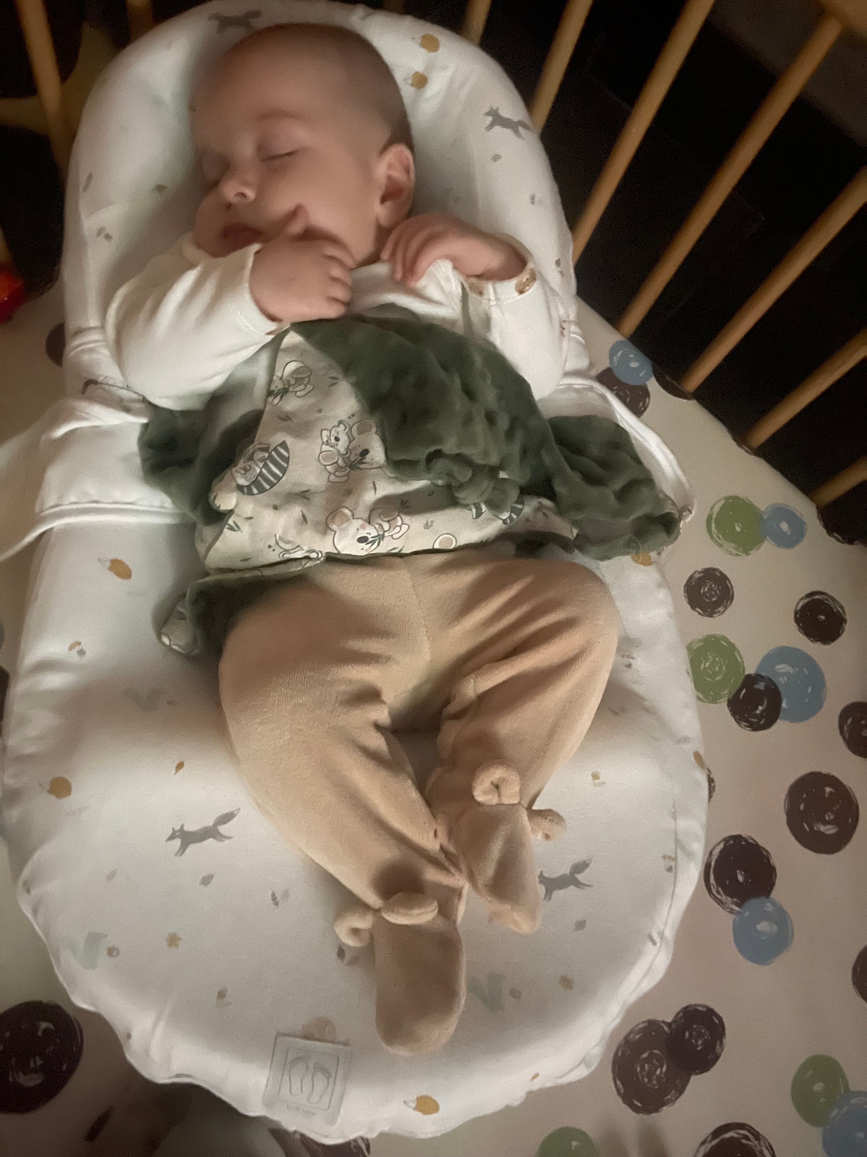 Cocoonababy® (with sheet) fleur de coton®