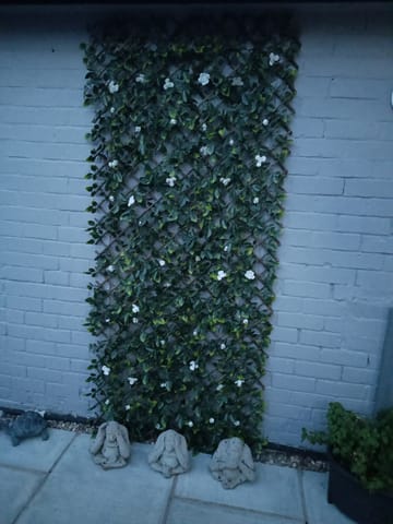 Customer review image