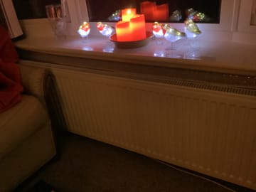 Customer review image