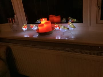 Customer review image