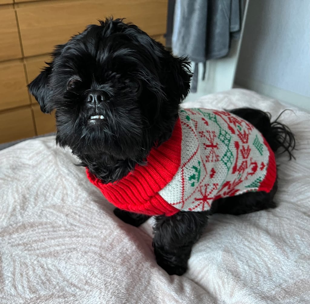 Photo from Suzanne Cottage's review