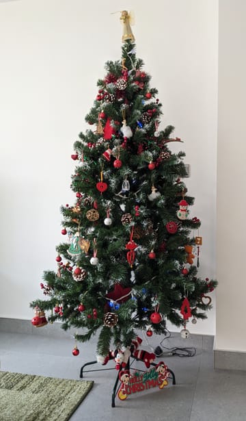 Customer review image