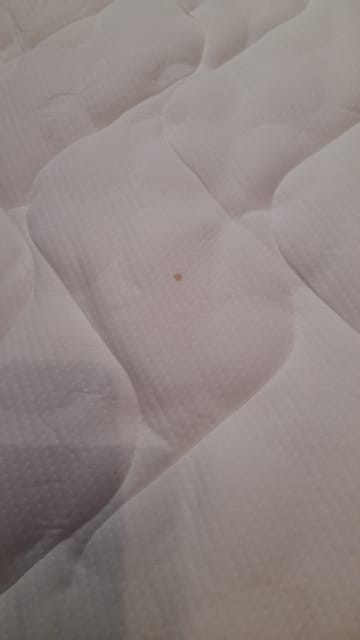 A customer photo for Coolflex® Lux Ortho Pocket Mattress - Disappointing experience with your coolflex lux mattress from mattress next dayi. Author: Francis Martin. Dated: 2023-12-11